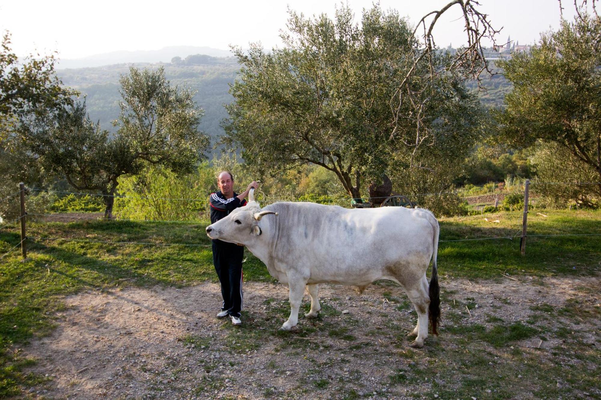 Tourist Farm Robivera Smarje  Exterior photo